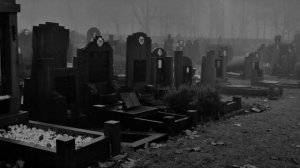 Страшные истории на ночь. Твари на кладбище. Страшилки про кладбище. Ужасы. #страшилки#кладбище
