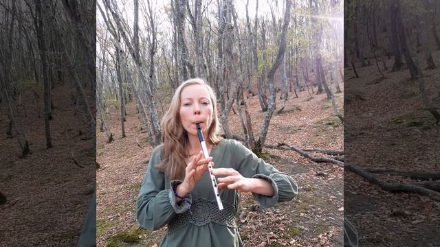 Средневековая английская песня Andro, сыгранная на вистл ( в тональности До). смотреть онлайн