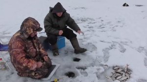 Зимняя рыбалка. Первый лёд.ЛОВИМ ПЛОТВУ НА ПОПЛАВОК И НА КИВОК.