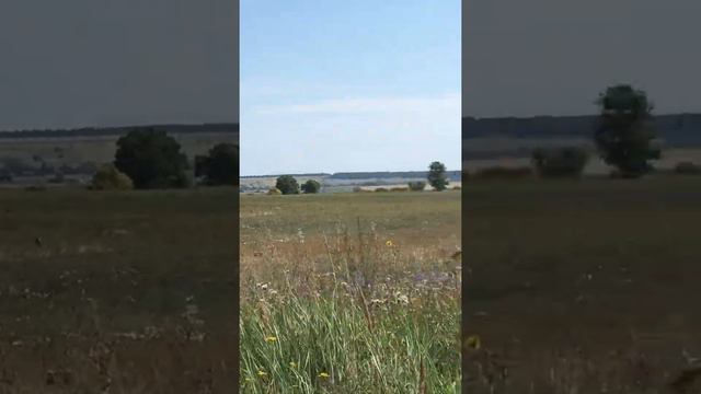 Велопробег по лесам Пензенской области