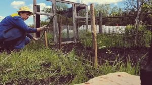 Декоративный забор из веток своими руками