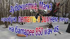 Полёт в лесу зубочистки Mark3 батарея 850 мач 4S