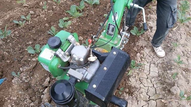 Мото блок дахяк смотреть онлайн