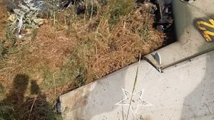 Пригожин принял предложение Лукашенко остановить движение Вагнер