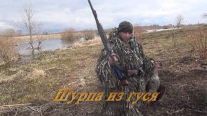 Шурпа из гуся.