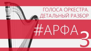 Королевская арфа: в чем секрет омоложения? Почему арфисты познали дзен? Зачем нужны педали?
