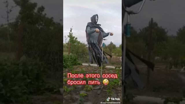 Ржака Приколы