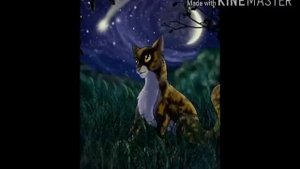 Коты-воители