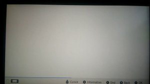 How To Get Google Chrome On Your Nintendo Switch | 100% working