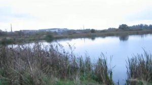 Щука в Туле