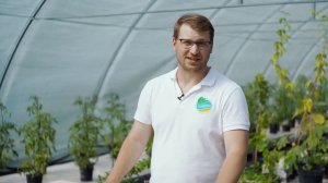 Органик Микс для гортензий