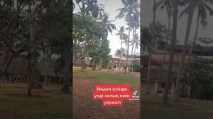 Индийский массаж Аюрведический массаж !Просто надо попробуйте! Как надо похудеть