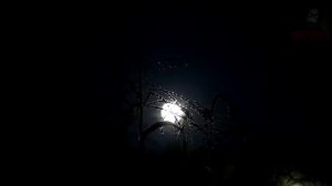 NOSFERATU - ИСТОРИИ ПРО ДЕРЕВНИ | ИМХО | СТРАШНЫЕ ИСТОРИИ ОТ NOSFERATU |