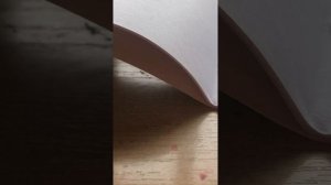 Как сделать игровую книгу DOORS 🚪