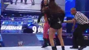 Kelly Kelly & Rosa Mendes vs Michelle McCool & Layla 