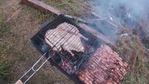 Дикий гусь на мангале.