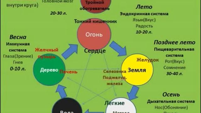 2 ПРОДУКЦИЯ TIENS У Син Система пяти первоэлементов Леонид Коваленко смотреть онлайн