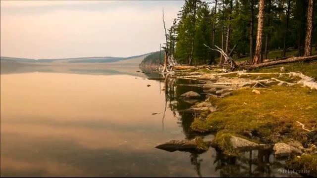 Жизнь в жизни, через присутствие здесь и сейчас смотреть онлайн