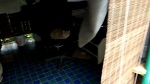 Мансардный этаж на старый дом. #2