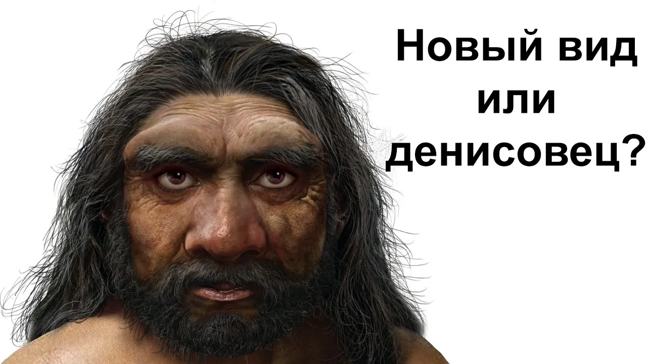 Новый вид людей или денисовцы. Homo longi и кратко Nesher Ramla Homo