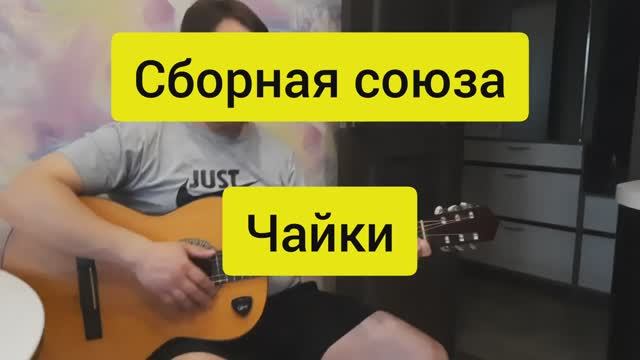 Сборная союза Чайки на гитаре. Как играть и петь на гитаре смотреть онлайн
