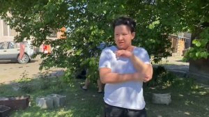 сенбернар/самый лучший друг человека /собачка