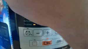 Тушёные овощи в мультиварке.REDMOND SkyCooker RMC-M224S