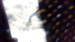 Что поможет спастись от жары и солнца в машине без кондиционера