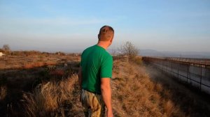 ЛЬВЫ ДЕРУТСЯ ! Пришлось  вмешаться !