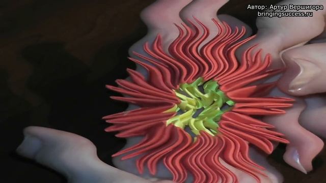 Модульное оригами цветок космея (видео схема сборки) смотреть онлайн
