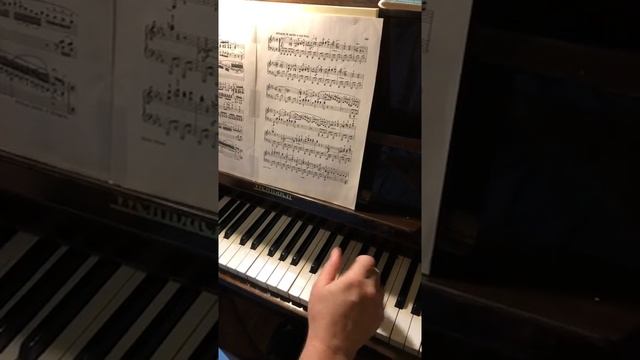Beethoven Sonata op.13 Pathétique I- 2 Соната 8 Патетическая_ пульс, артикуляция.mp4