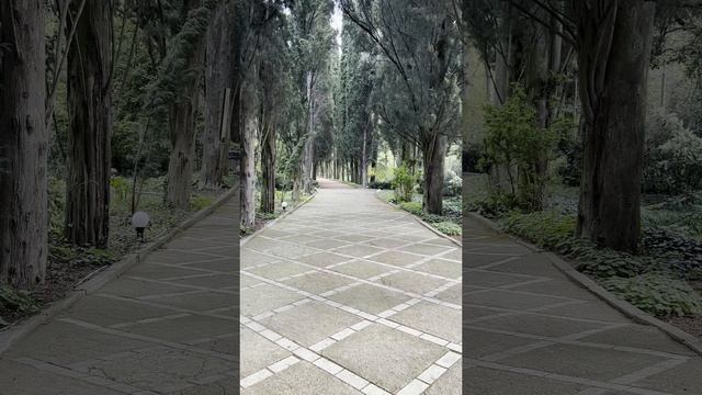 Никитский ботанический сад.