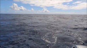 Fishing Rarotonga