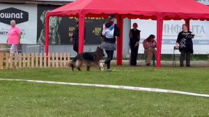 ПП 321 Ирендорф ВУДУ / Моно немецких овчарок ПК БРОННИЦЫ 10.08.2024