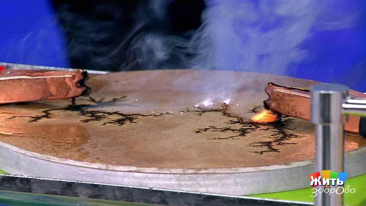 Как спастись во время урагана. Жить здорово! Фрагмент выпуска от 20.09.2017