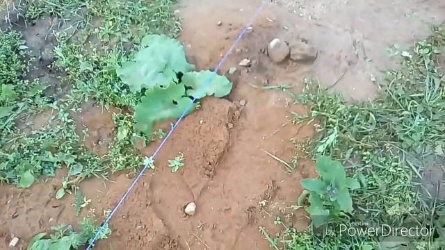 Установка забора. Ч.1. Зима смотреть онлайн