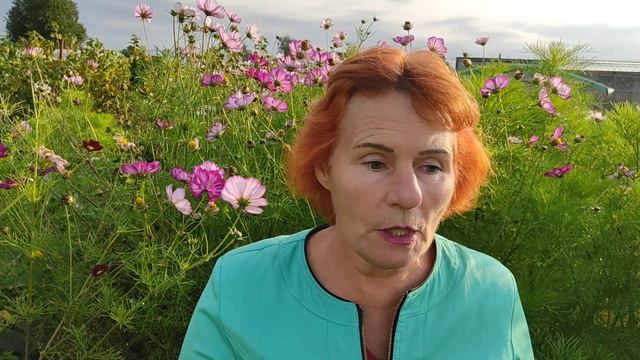 про мутацию, состояние после болезни, питьевой режим, центросому и др