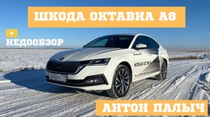 Новая Шкода Октавия А8 2020 SKODA OKTAVIA NEW обзор тест