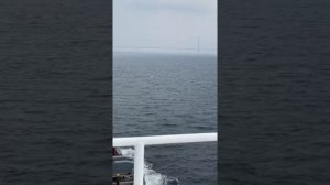 Морские Контейнерные Перевозки.