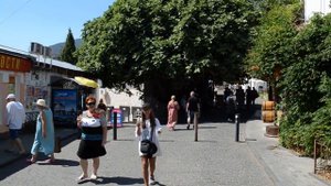 КРЫМ. ГУРЗУФ. Целый мир в одном месте. #крымскиеканикулы #travel #путешествия #отдых