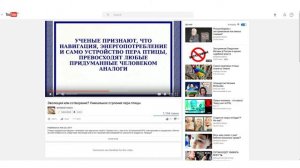 RE: Эволюция или сотворение Уникальное строение пера птицы [Мудрость Веков]