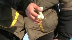 Зимняя блесна. Часть 8 - Кивки