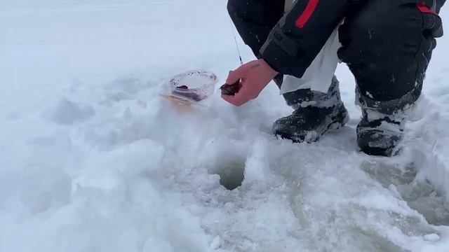 Рузская рыбалка-2021 смотреть онлайн