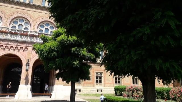 Черновцы (Черновицкий национальный университет имени Юрия Федьковича)