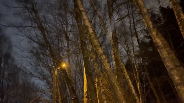 г. Обнинск ГОД НАСТУПИЛ ?НОВЫЙ. #прогулкапешком ЗА ВДОХНОВЕНИЕМ