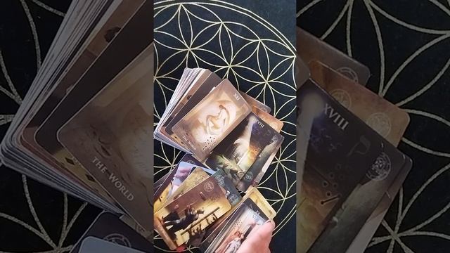 Обзор колоды Таро Сумасшедшего дома Madhouse tarot.