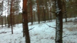 АКА БЕРКУТ-5 (ПОИСК И НЕ МНОГО О НАСТРОЙКАХ)