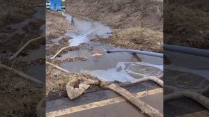 Осушение болота.