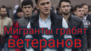 Мигранты грабят ветеранов