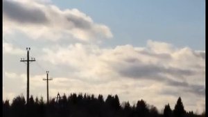 Звенит высокая тоска...